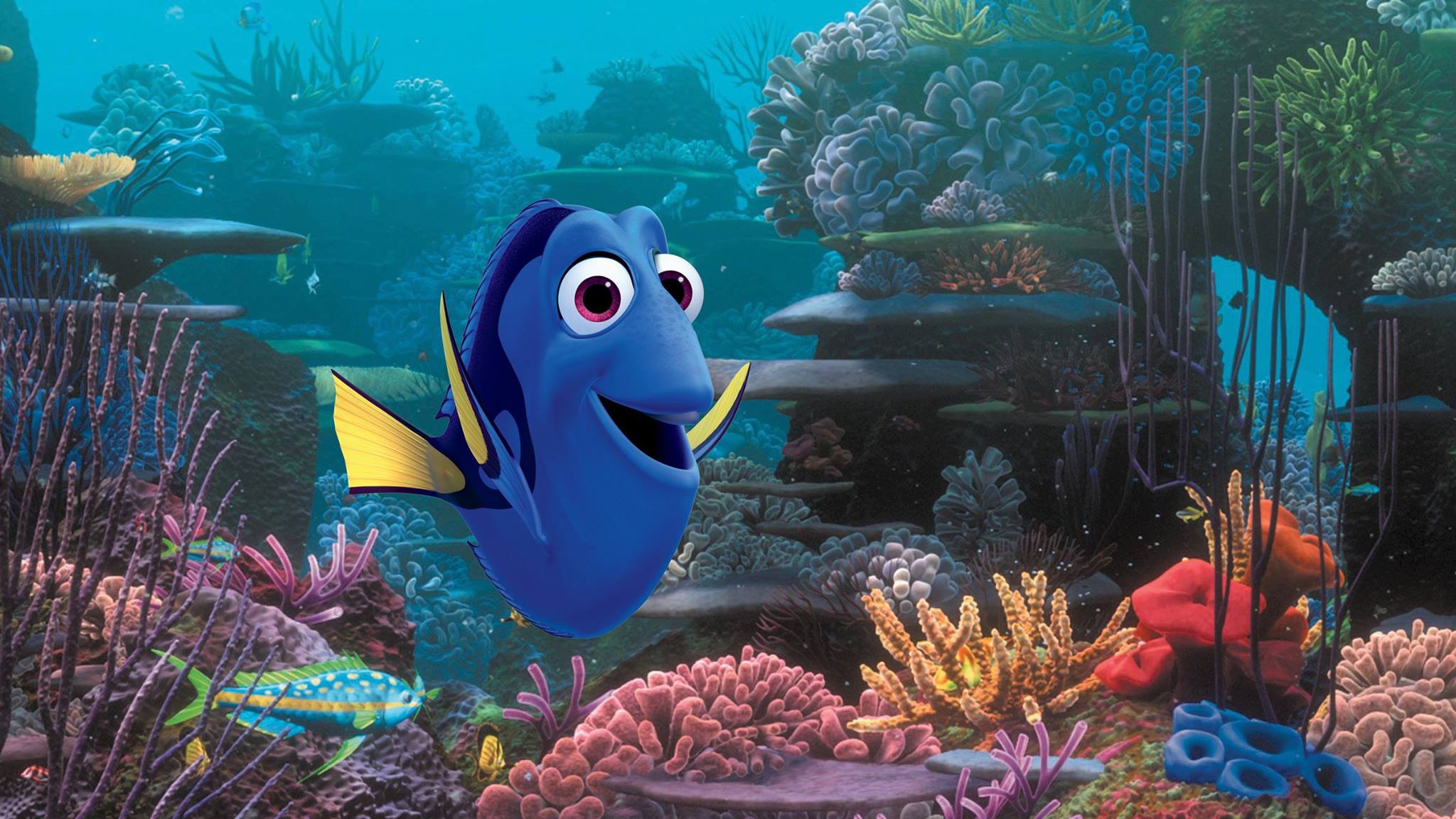eiff-2016-finding-dory-slash-irreplaceable-bigger-than-the-shining-reviews
